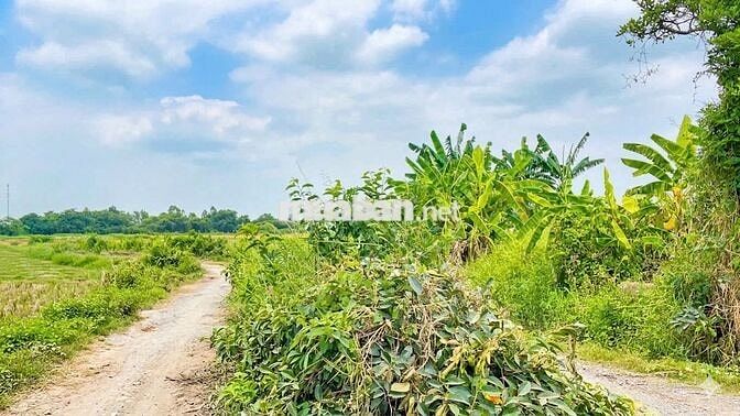 2556M2 ĐẤT THẠNH XUÂN HÓC MÔN CHỈ 11.74 TỶ TL GIÁ TỐT MỜI ĐẦU TƯ 