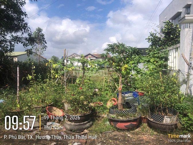 Bán đất thổ cư KQH Nguyễn Khoa Văn, P.Phú Bài, Hương Thuỷ, TP Huế.