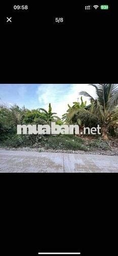Bán đất Mỹ Hương, Cầu Rau Cần đường A1, Mỹ Tú