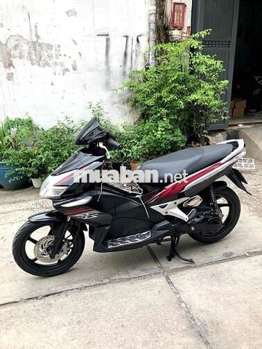 Honda Ab bstp siu chất lượng im du cà vẹt d đủ