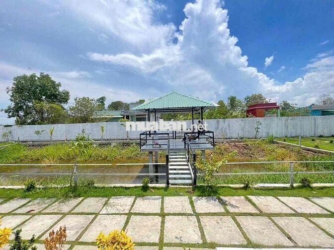 🏡 600M² ĐẤT NHÀ VƯỜN 1 SẸC HL7 – CÙ LAO TÂN TRIỀU 🌿