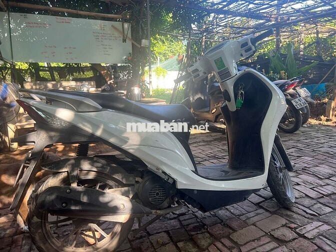 Kymco Candy Trắng bạc