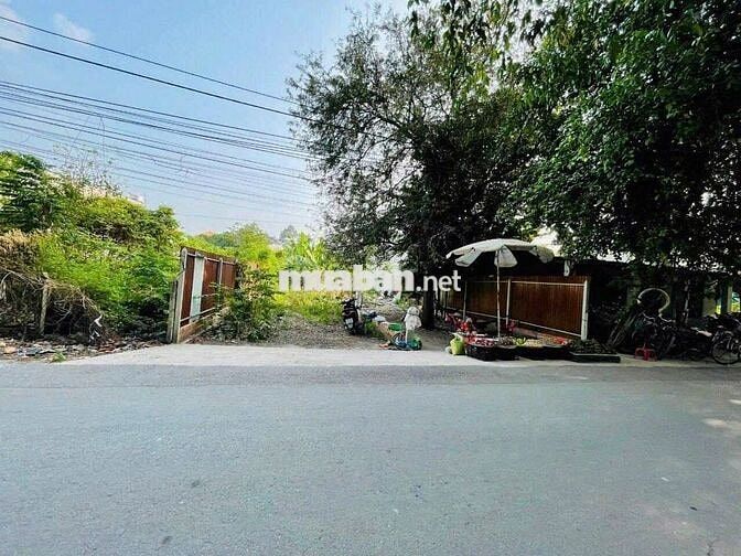 Bán 131m2 đất Đ.Nguyễn Thị Lắng gần bệnh viện Xuyên Á giá 1,3 tỷ, SHR
