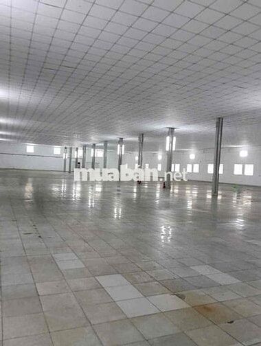 🌺CHO THUÊ  KHO XƯỞNG. QUẬN 12 ..HCM