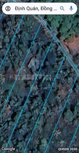 Bán 1.003m2 đất cây lâu năm phú hoà.Tp Đồng Nai