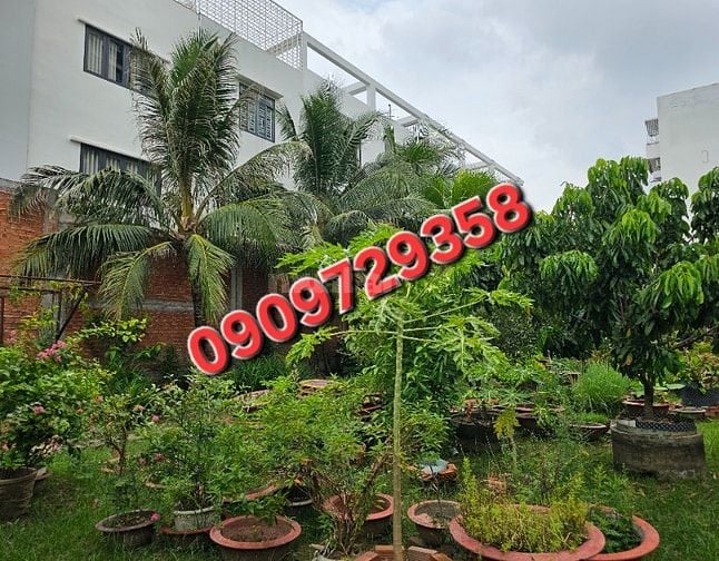 Mặt tiền Lê Tấn Bê - Đất đẹp - Chỉ 188 tỷ