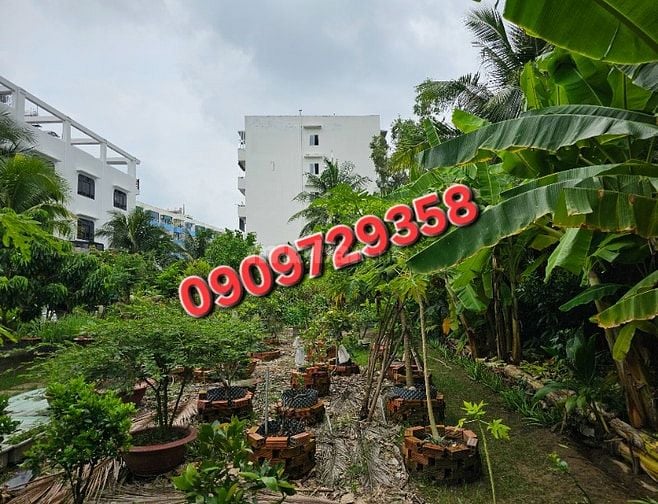 Mặt tiền Lê Tấn Bê - Đất đẹp - Chỉ 188 tỷ