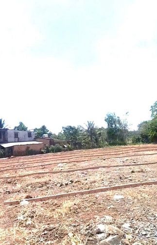 Bán đất đường xe hơi Sông Thao, Bàu Hàm, Bàu Hàm, Trảng Bom, Đồng Nai