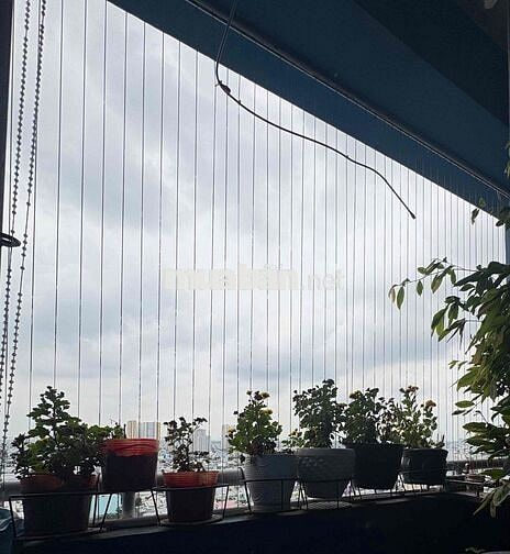 CHÍNH CHỦ BÁN CĂN HỘ 81m² – TẦNG CAO NHẤT, THOÁNG MÁT, VIEW THÀNH PHỐ