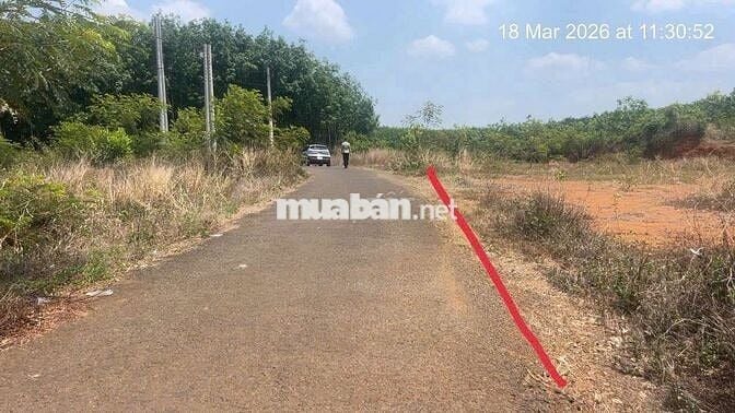 BÁN NHANH LÔ ĐẤT MẶT TIỀN ĐƯỜNG NHỰA – GIÁ CHỈ 90 TRIỆU