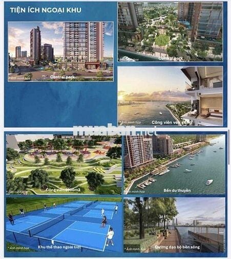 Căn hộ Sông Hàn Đà Nẵng giá 2tỷ cho thuê 20tr / tháng
