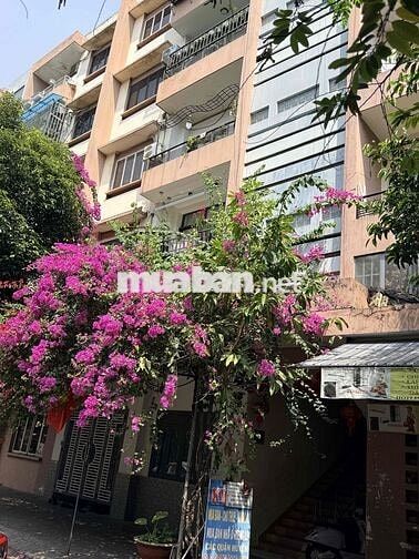 Cho thuê cc tây thạnh  Triệt dt 109m   3p 2vs nhà mới sơn sửa đẹp  Giá