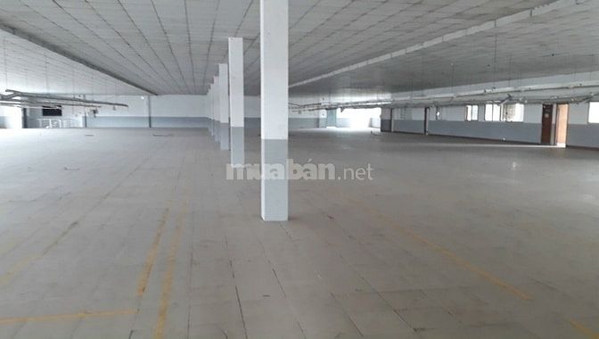Cho thuê xưởng may Hóc Môn dt 5500m 