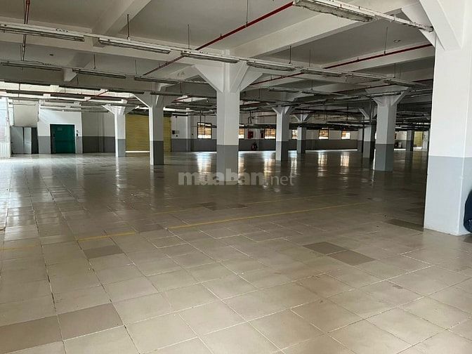 Cho thuê xưởng may Hóc Môn dt 5500m 