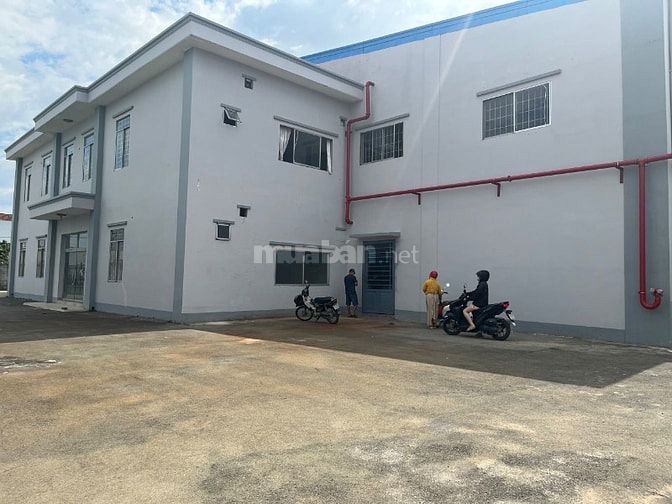 Cho thuê xưởng may Hóc Môn dt 5500m 