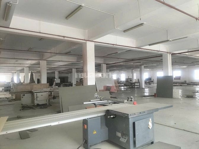 Cho thuê xường Q12 hiệp thành  dt 7500m  giá 700tr