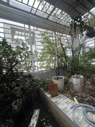Bán nhà đẹp Sư Vạn Hạnh Q.10 4m x 7m chỉ 5,5 tỷ