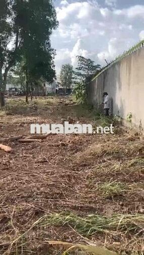 bán đất Quốc Lộ 50 Phong Phú 8.000m giá 20 tr/m2