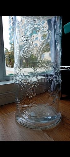 Bình rồng thủy tinh hình trụ cao 62cm ngâm rượu 