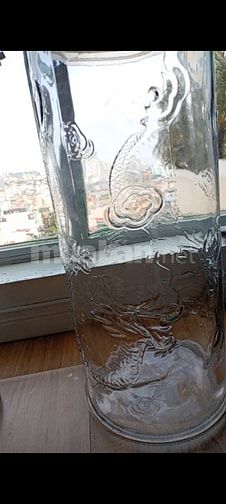 Bình rồng thủy tinh hình trụ cao 62cm ngâm rượu 