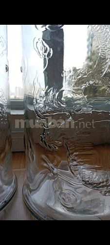 Bình rồng thủy tinh hình trụ cao 62cm ngâm rượu 