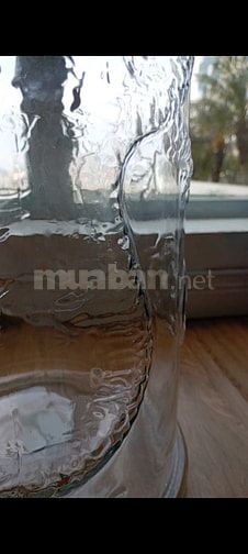 Bình rồng thủy tinh hình trụ cao 62cm ngâm rượu 