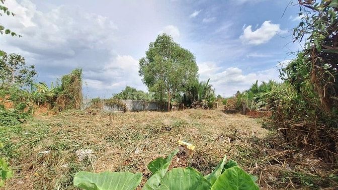 Cần bán lô đất thổ cư và đất vườn ngã tư Nguyễn Bình 