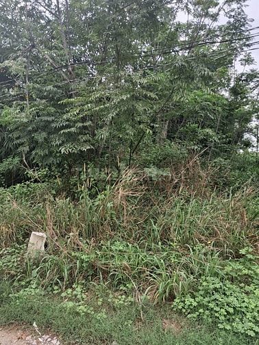 Đất góc ngã tư, gần dự án Phúc An, gần khu công nghiệp Chơn Thành