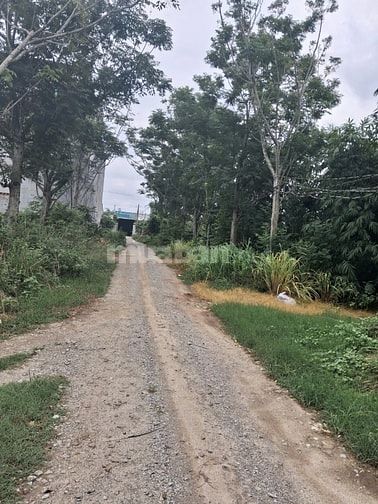 Đất góc ngã tư, gần dự án Phúc An, gần khu công nghiệp Chơn Thành