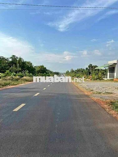 Chủ bán gấp lô đất 500m2/450Triệu cạnh chợ Trừ Văn Thố,Bàu Bàng