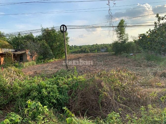 bán đấy vườn cao su măt tiền đường 749 xã minh thạnh