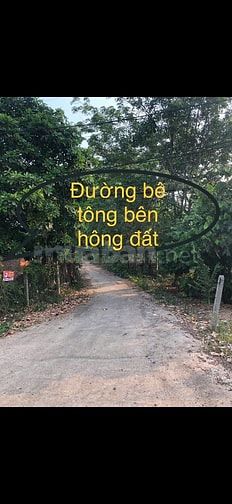 bán đấy vườn cao su măt tiền đường 749 xã minh thạnh