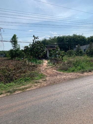 bán đấy vườn cao su măt tiền đường 749 xã minh thạnh
