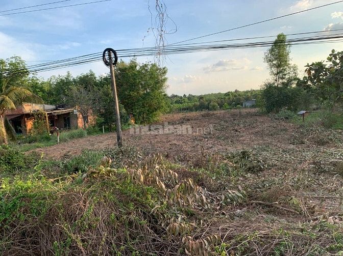 bán đấy vườn cao su măt tiền đường 749 xã minh thạnh