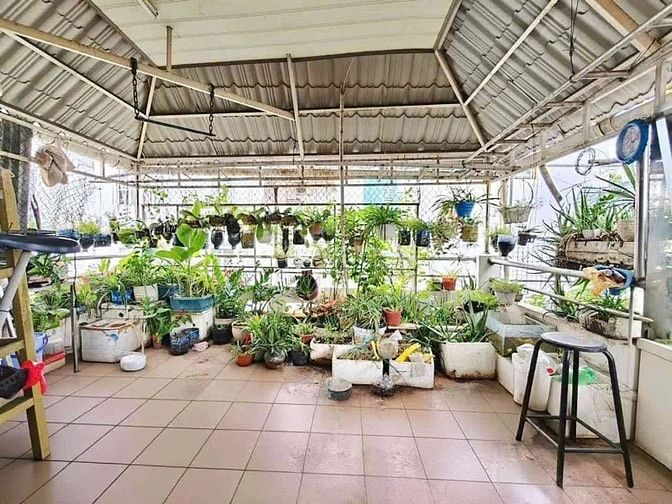 Nhà hẻm thẳng sát MT Bà Hạt_4mx10m.NH_T+Lg+2L+ST(5PN+4wC)_ Giá 6.2 tỷ
