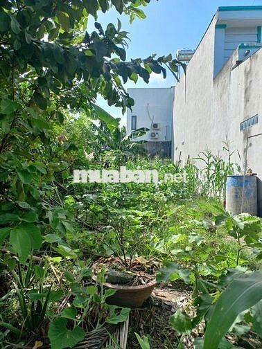 CHÍNH CHỦ BÁN ĐẤT ĐÃ CÓ 60M2 THỔ CƯ, DIỆN TÍCH 75M2
