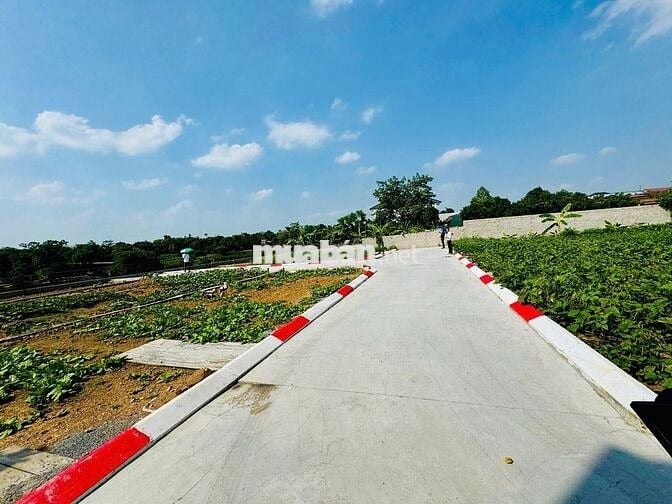 Cắt lỗ 200 triệu , gần ngã tư xuân mai , đường rộng 5m, full thổ cư