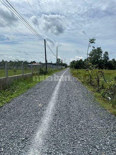 đất củ chi 250tr 600m2 ngân hàng cho vay 1ty5 