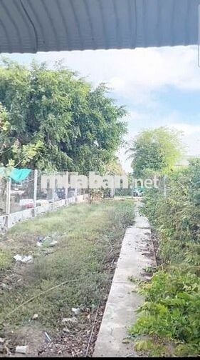 BẤN GẤP ĐẤT TÂY NINH (120M2 THỔ CƯ - ĐƯỜNG Ô TÔ NỞ HẬU)