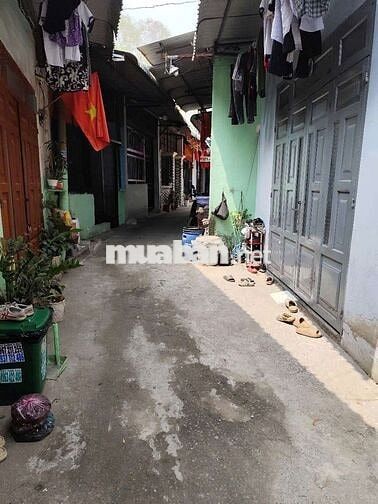 cho thuê nhà 3tr2 gần chợ thái hoà tân uyên 