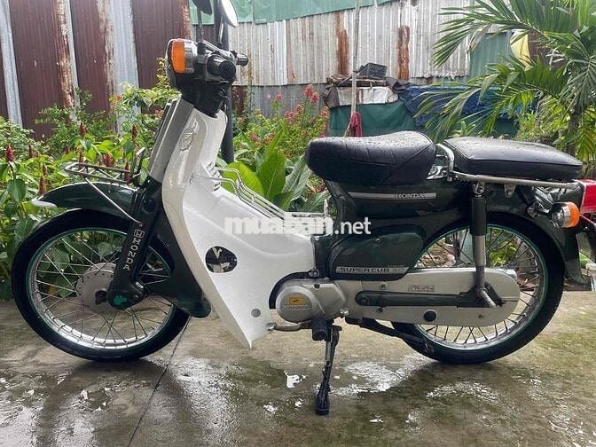 Honda Super Club 50, Trắng Xanh