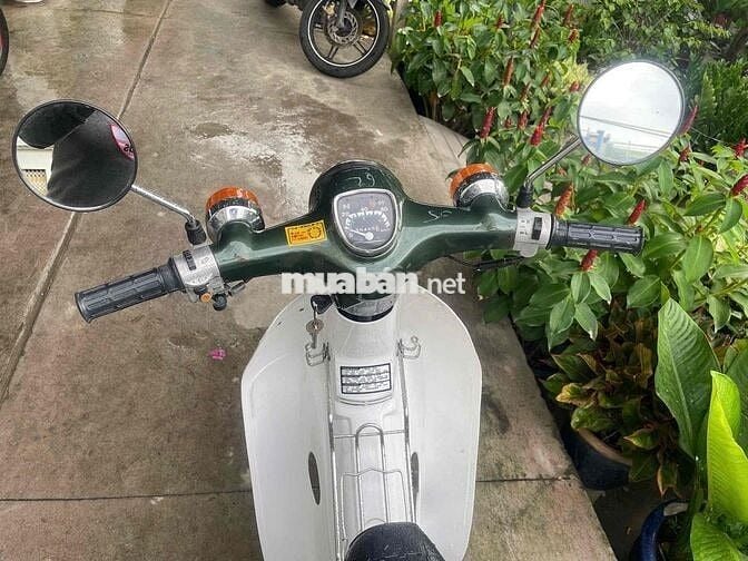 Honda Super Club 50, Trắng Xanh