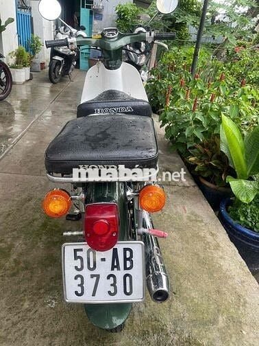 Honda Super Club 50, Trắng Xanh
