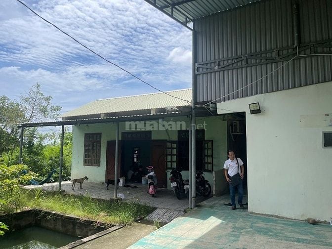Cho thuê Đất, nhà xưởng, kho, mặt tiền QL51, cách ngã ba Long Sơn 500m