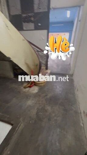 Cho CHDV 7 PN 7 WC ! Mặt Tiền Hoàng Hoa Thám 250m2 4 Tầng KD Tự Do