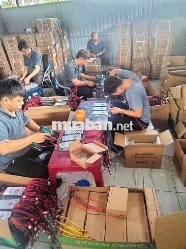 LĐPT BỐC XẾP - THỜI VỤ