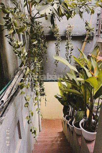 CHO THUÊ CĂN HỘ HOMESTAY  19 THỢ NHUỘM, HOẶC NHƯỢNG LẠI