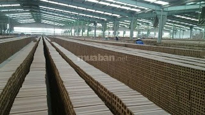 Bảng báo giá gạch tuynel - gạch xây dựng chất lượng cao Trung Nguyên