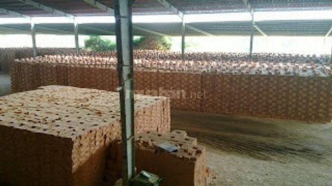 Bảng báo giá gạch tuynel - gạch xây dựng chất lượng cao Trung Nguyên