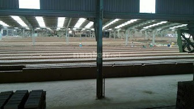 Bảng báo giá gạch tuynel - gạch xây dựng chất lượng cao Trung Nguyên